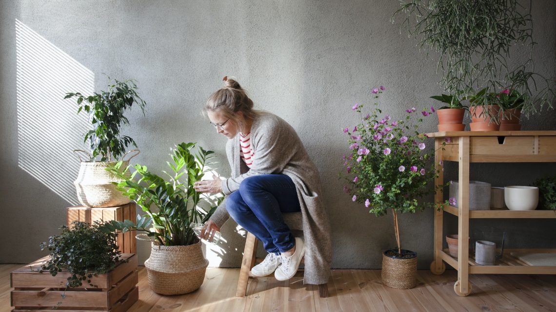 Woman tending to potted plants in indoor garden